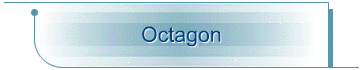 Octagon